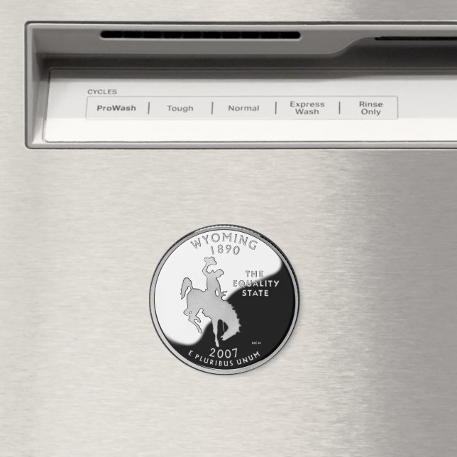 Faux Wyoming State Quarter Magnet (In Situ (Dishwasher))