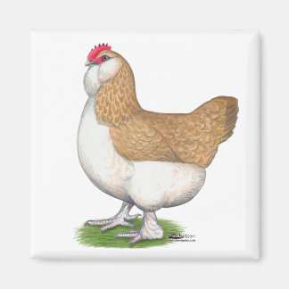 Faverolle Hen Magnet