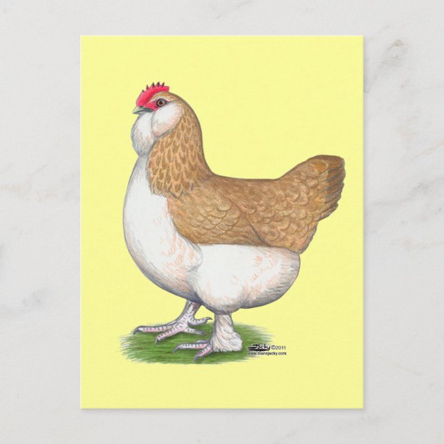 Faverolle Hen Postcard (Front)