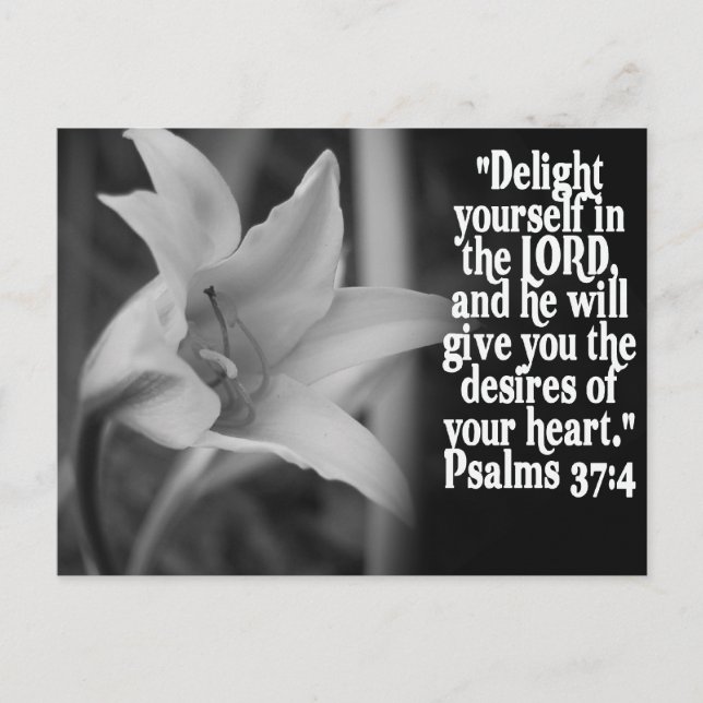 FAVORITE  BIBLE SCRIPTURE PSALM 37:4 POSTCARD (Front)