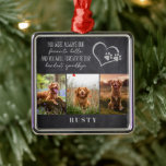 Favorite Hello Hardest Goodbye Pet Memorial  Metal Tree Decoration<br><div class="desc">This modern memorial keepsake is a beautiful way to honor your beloved pet.

The photographs are for illustrative purposes and can be changed to your own.</div>