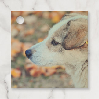 Favour Tags landscape template