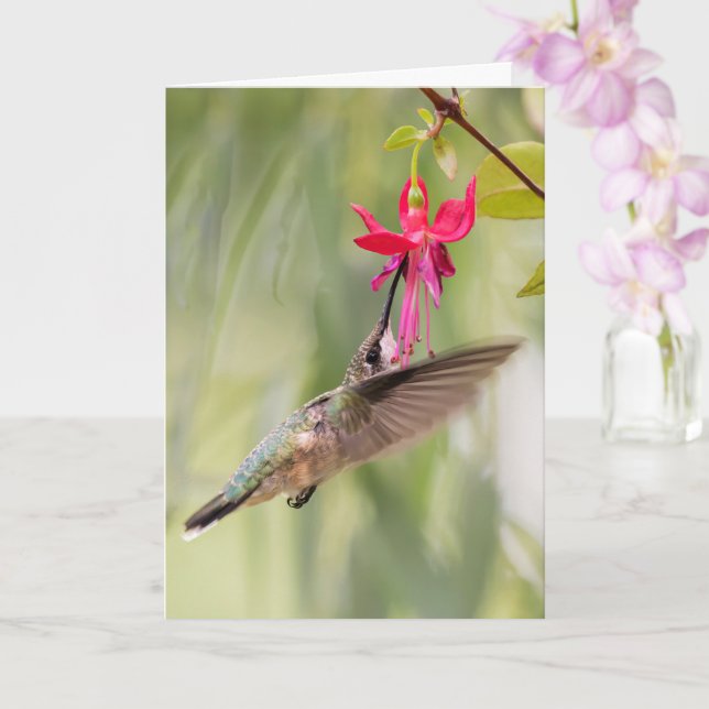 Favourite Fuchsia Hummingbird Card (Orchid)