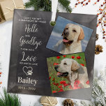 Favourite Hello Custom 2 Photo Pet Dog Memorial Glass Tree Decoration<br><div class="desc">Our modern pet memorial ornament, is a beautiful way to remember your beloved dog. The ornament features the poem " Don't forget somewhere between Hello and Goodbye there was Love, so much Love " and has a modern, simple, and elegant design. It serves as a dog memorial ornament and a...</div>