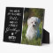 Favourite Hello | Hardest Goodbye Pet Memorial