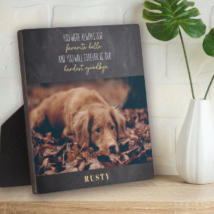 Favourite Hello Hardest Goodbye Pet Memorial  Plaque