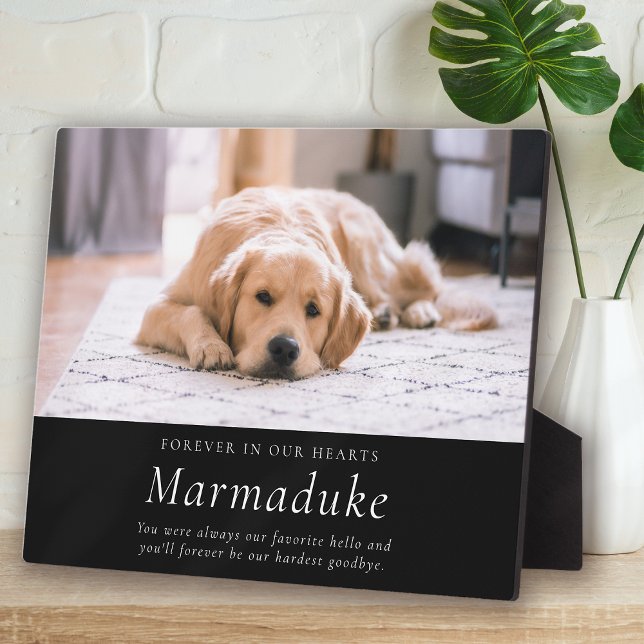 Favourite Hello Hardest Goodbye Pet Memorial Plaque (Creator Uploaded)