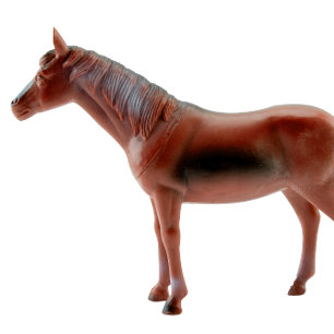 Favourite Toy Horse Cushion