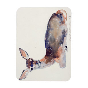 Fawn 2003 magnet