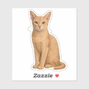 Fawn Abyssinian Sticker