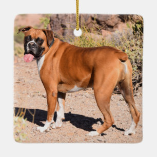 Fawn and White Boxer Puppy Dog Ceramic Ornament