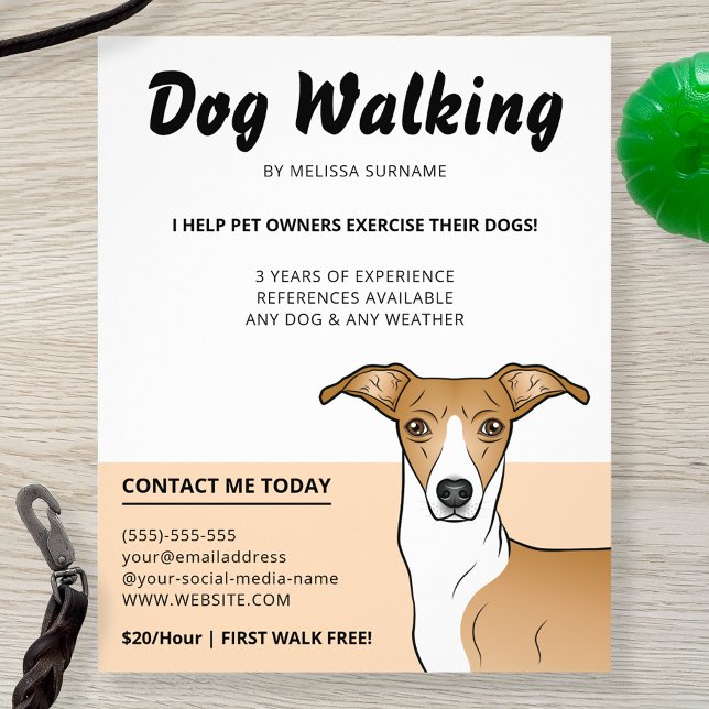 Fawn And White Italian Greyhound - Dog Walker Flyer (Creator Uploaded)