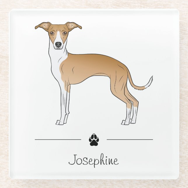 Fawn And White Italian Greyhound With Custom Text Glass Coaster (Front)
