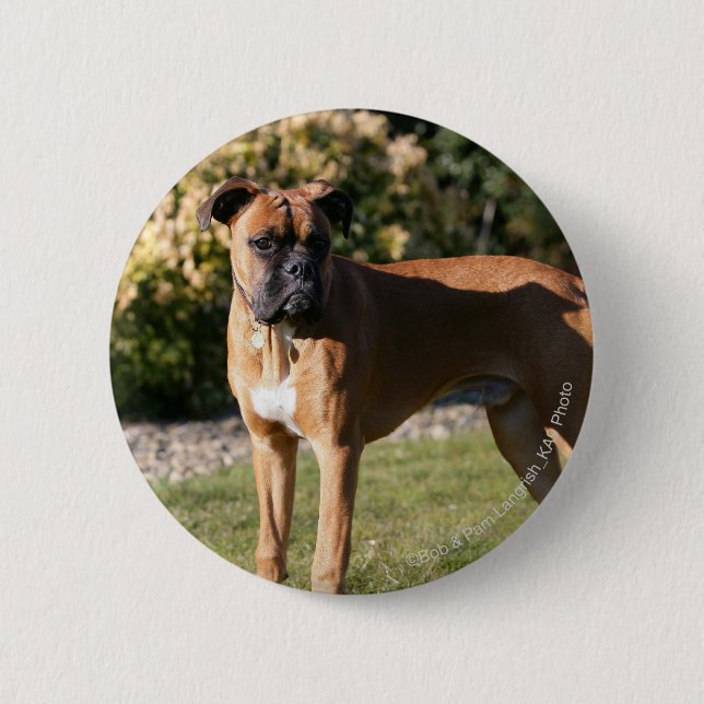 Fawn Boxer Dog Standing 6 Cm Round Badge (Front)