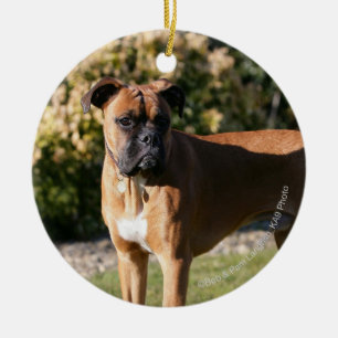 Fawn Boxer Dog Standing Ceramic Tree Decoration