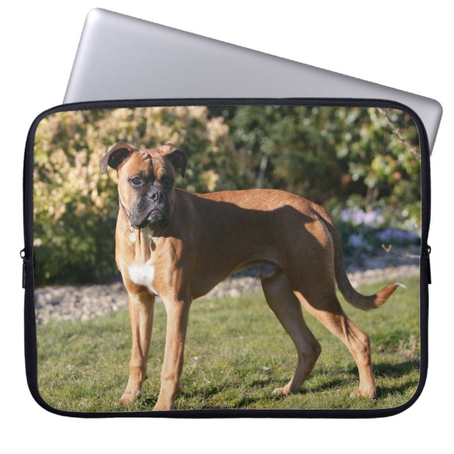 Fawn Boxer Dog Standing Laptop Sleeve (Front)