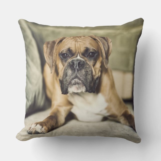 Fawn Boxer Pup Cushion (Front)