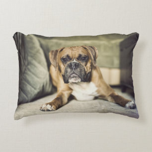 Fawn Boxer Pup Decorative Cushion