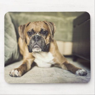 Fawn Boxer Pup Mouse Pad