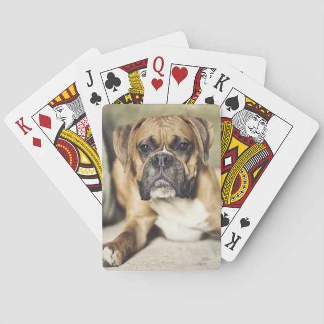 Fawn Boxer Pup Playing Cards (Back)