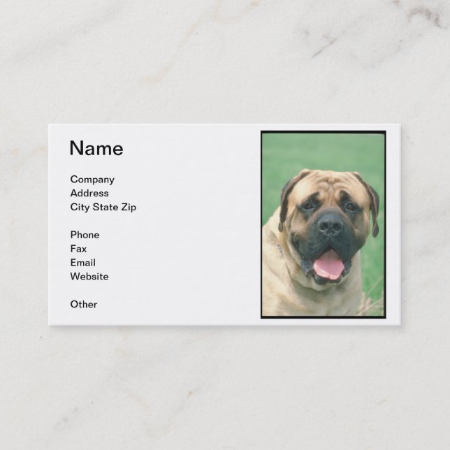 Fawn Bullmastiff Business Card (Front)