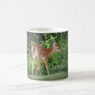 Fawn By The Woods Mug