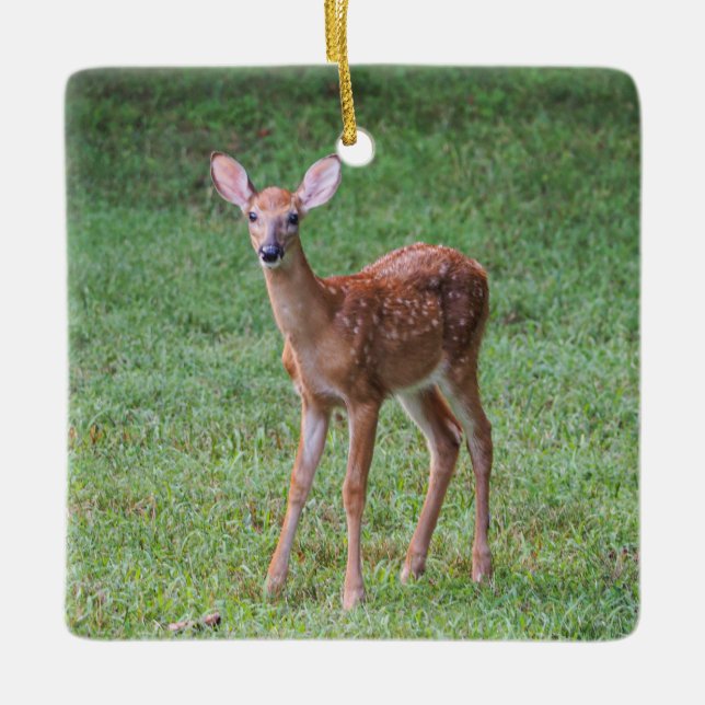 Fawn Ceramic Ornament (Front)