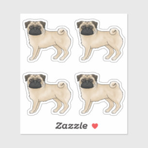 Fawn Coat Colour Pug Mops Dog Breed Drawings