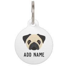 Fawn Colored Pug Dog
