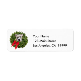 Fawn Coloured PitBull in Christmas Wreath & Red Bo