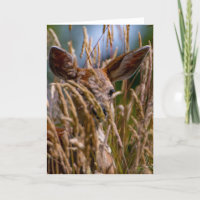Fawn Columbian Black-tailed Deer Thank You Card