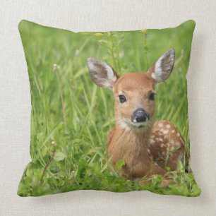 Fawn Cushion