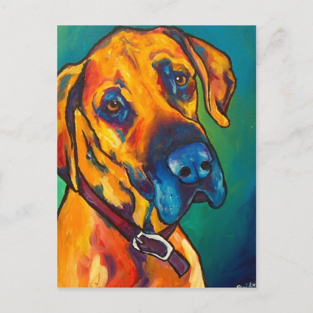 Fawn Great Dane Postcard (Front)