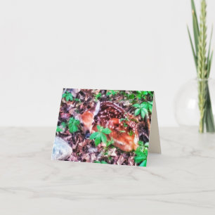 FAWN GREETING CARD