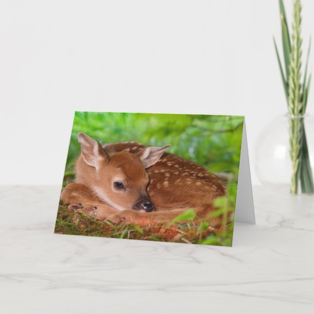 Fawn Greeting Card (Front)