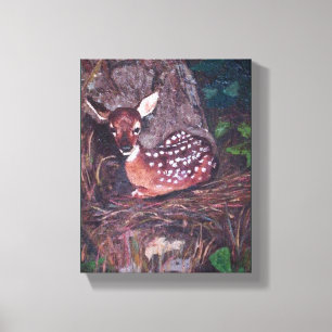 Fawn in Forest Canvas Print