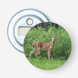 Fawn in front of a fence bottle opener