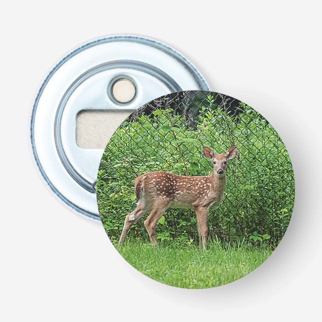 Fawn in front of a fence bottle opener (Front)