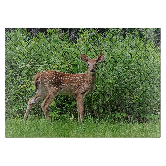 Fawn in front of a fence cutting board (Front)