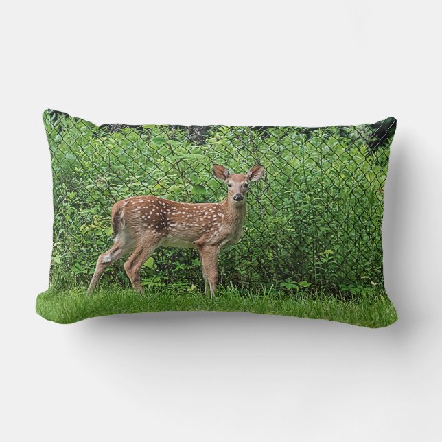 Fawn in front of a fence lumbar cushion (Front)