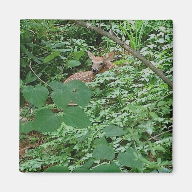 FAWN in Green Heart Leaves --- Magnet (Front)