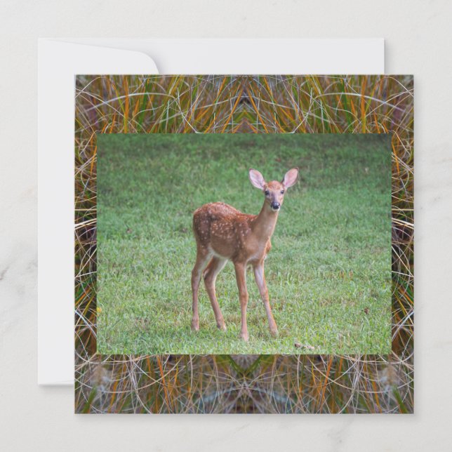 Fawn Invitation (Front)