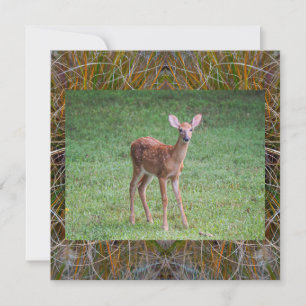 Fawn Invitation