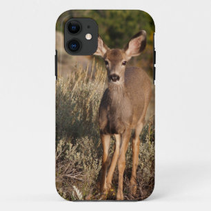 Fawn iPhone 5 iPhone 11 Case
