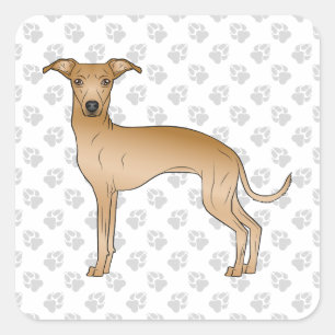 Fawn Italian Greyhound Cute Cartoon Dog With Paws Square Sticker