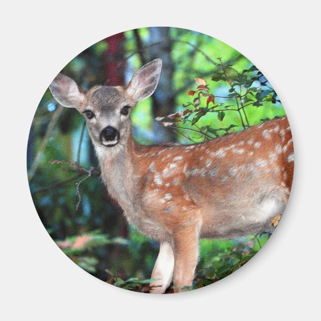Fawn Magnet (Front)
