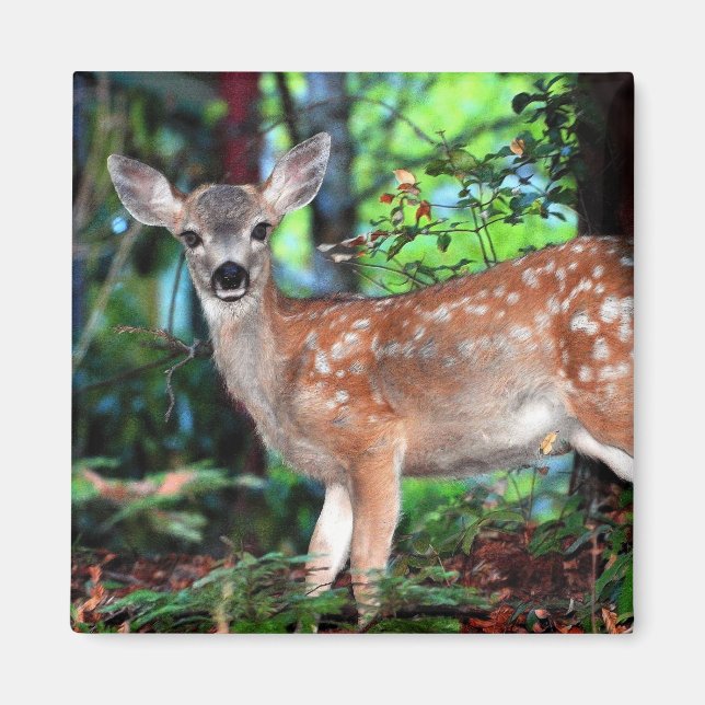 Fawn Magnet (Front)