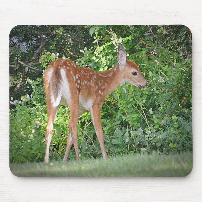 Fawn Mousepad (Front)