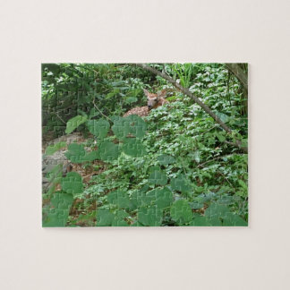 FAWN of Hearts! --- Jigsaw Puzzle