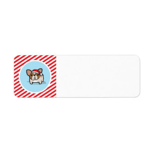 Fawn Pied Frenchie on Candy Cane Stripes